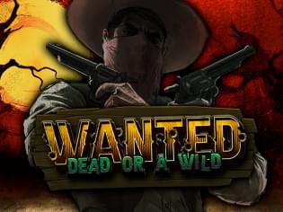 Wanted Dead or Wild - джекпот слот